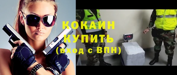 мдпв Гусь-Хрустальный