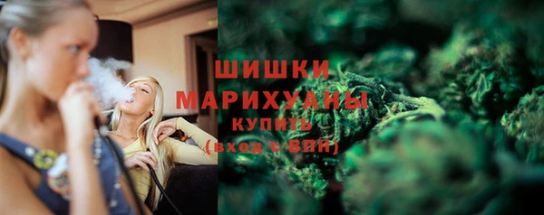 мдпв Гусь-Хрустальный