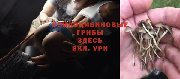 мяу мяу мука Гусиноозёрск