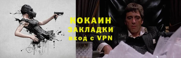 мяу мяу мука Гусиноозёрск