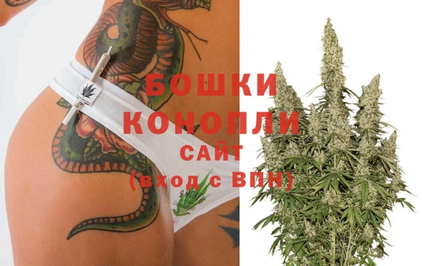 мдпв Гусь-Хрустальный