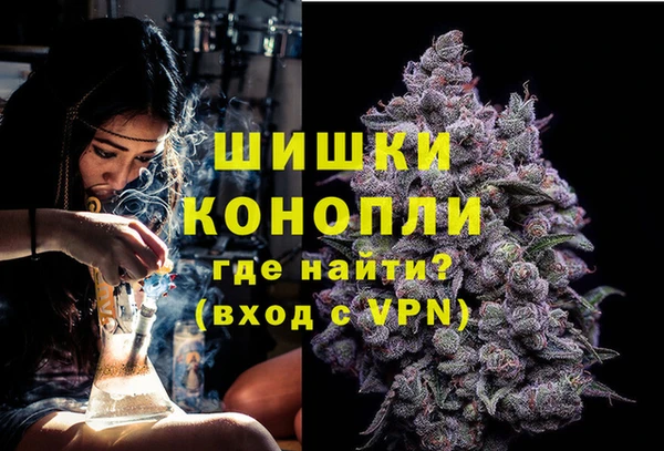 мяу мяу мука Гусиноозёрск