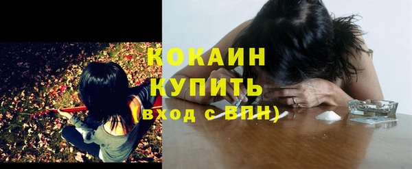 мдпв Гусь-Хрустальный